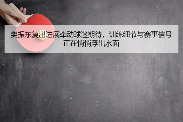 樊振东复出进展牵动球迷期待，训练细节与赛事信号正在悄悄浮出水面